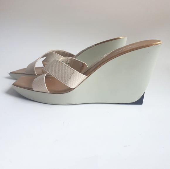 🎈HOST PICK🎈Charles by Charles David | NWOT Wedge Platform Sandals - Picture 2 of 14